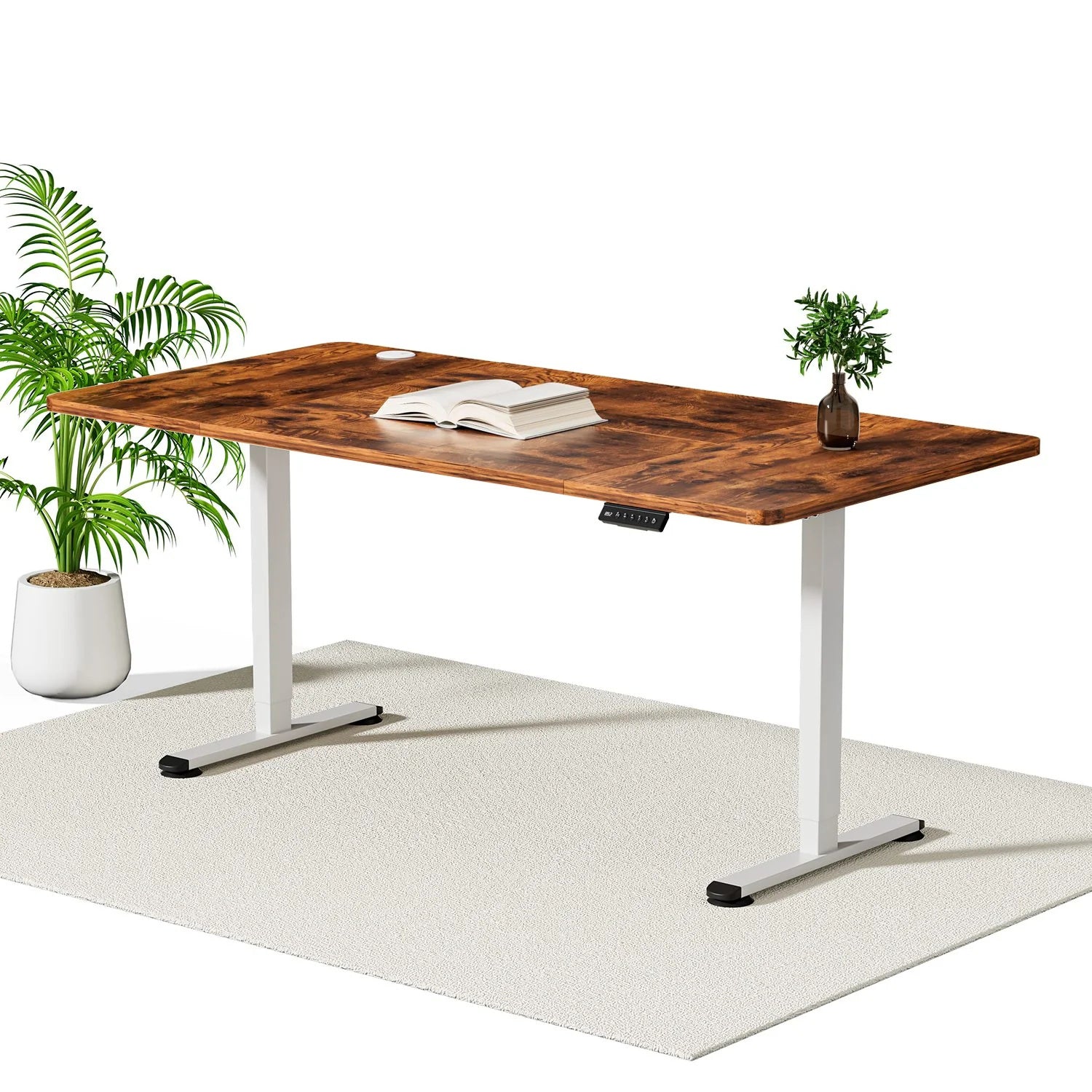 Economy Elektrisch Höhenverstellbarer Schreibtisch