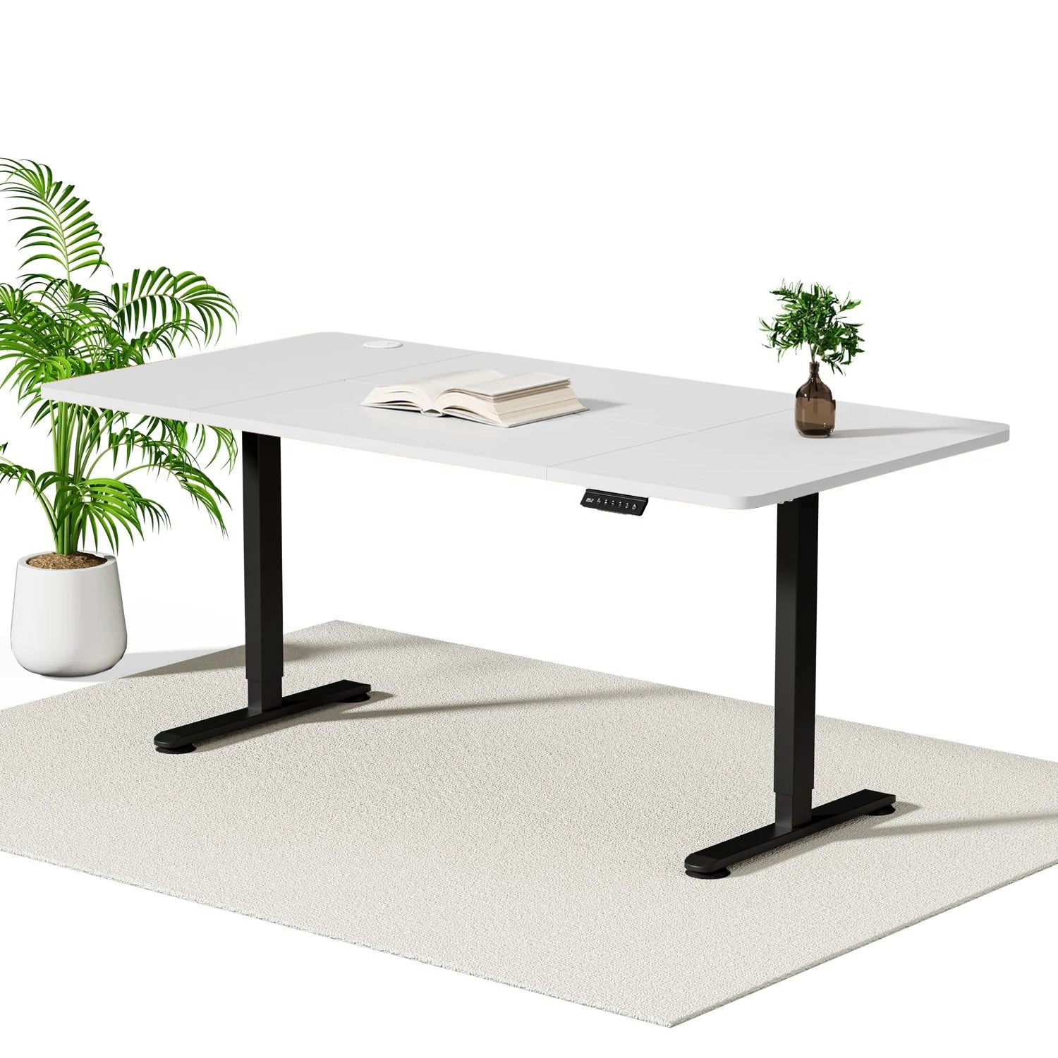 Economy Elektrisch Höhenverstellbarer Schreibtisch
