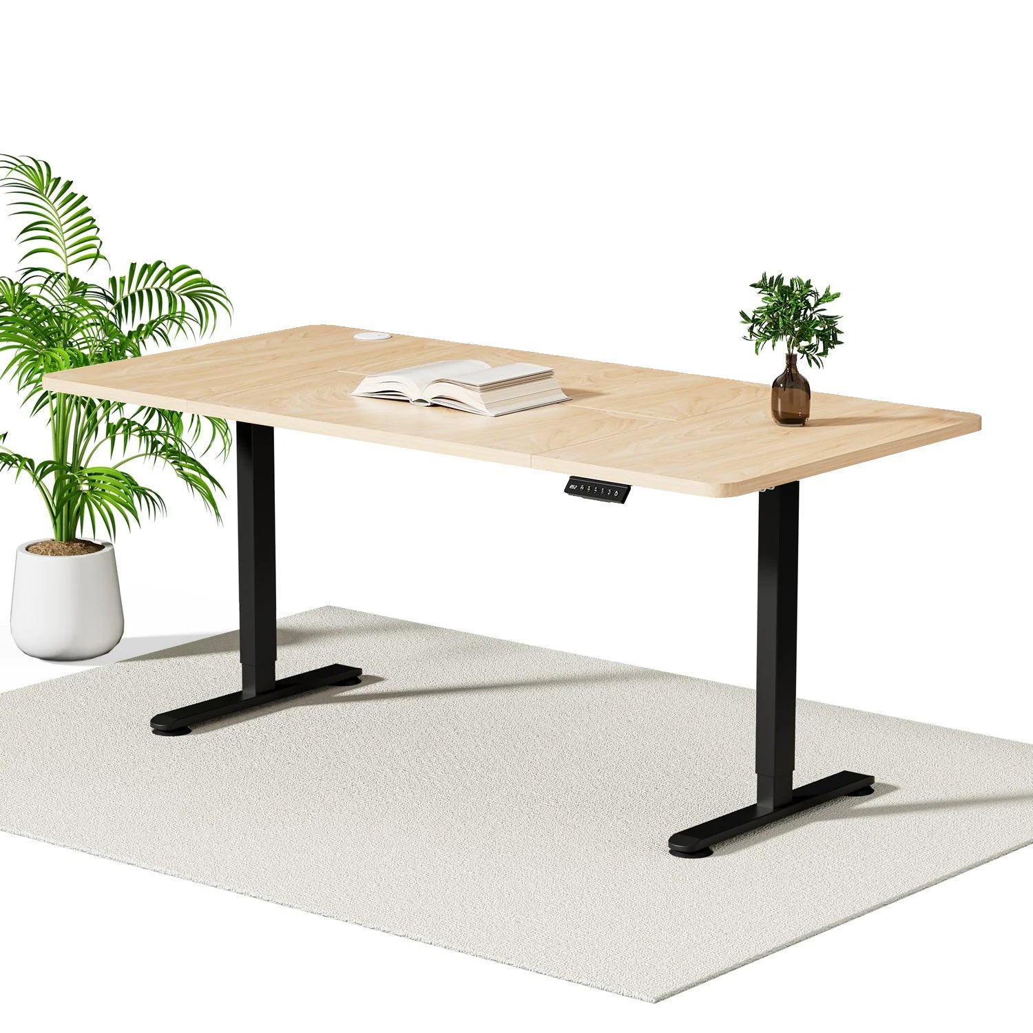 Economy Elektrisch Höhenverstellbarer Schreibtisch