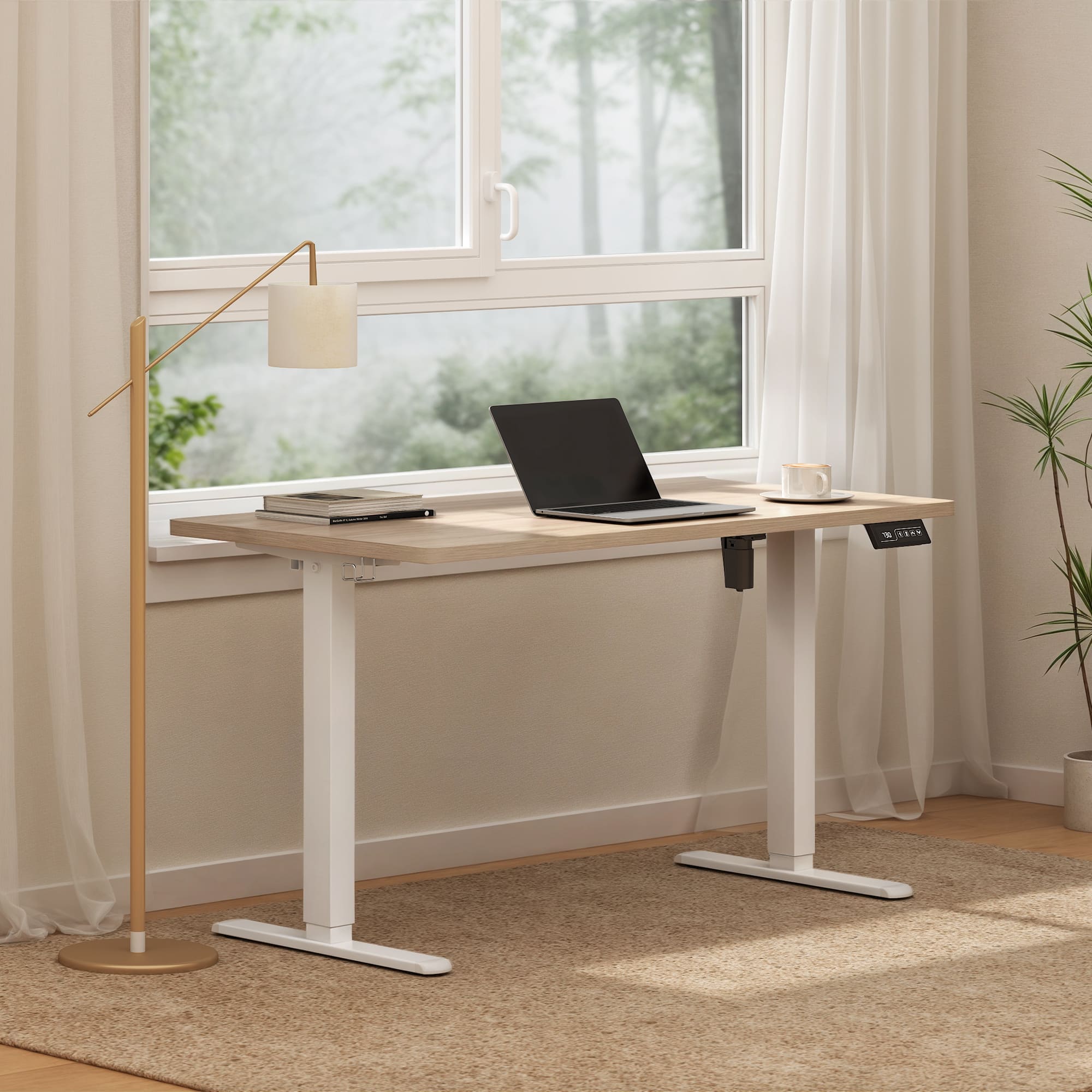 Economy Solid Elektrisch Höhenverstellbarer Schreibtisch