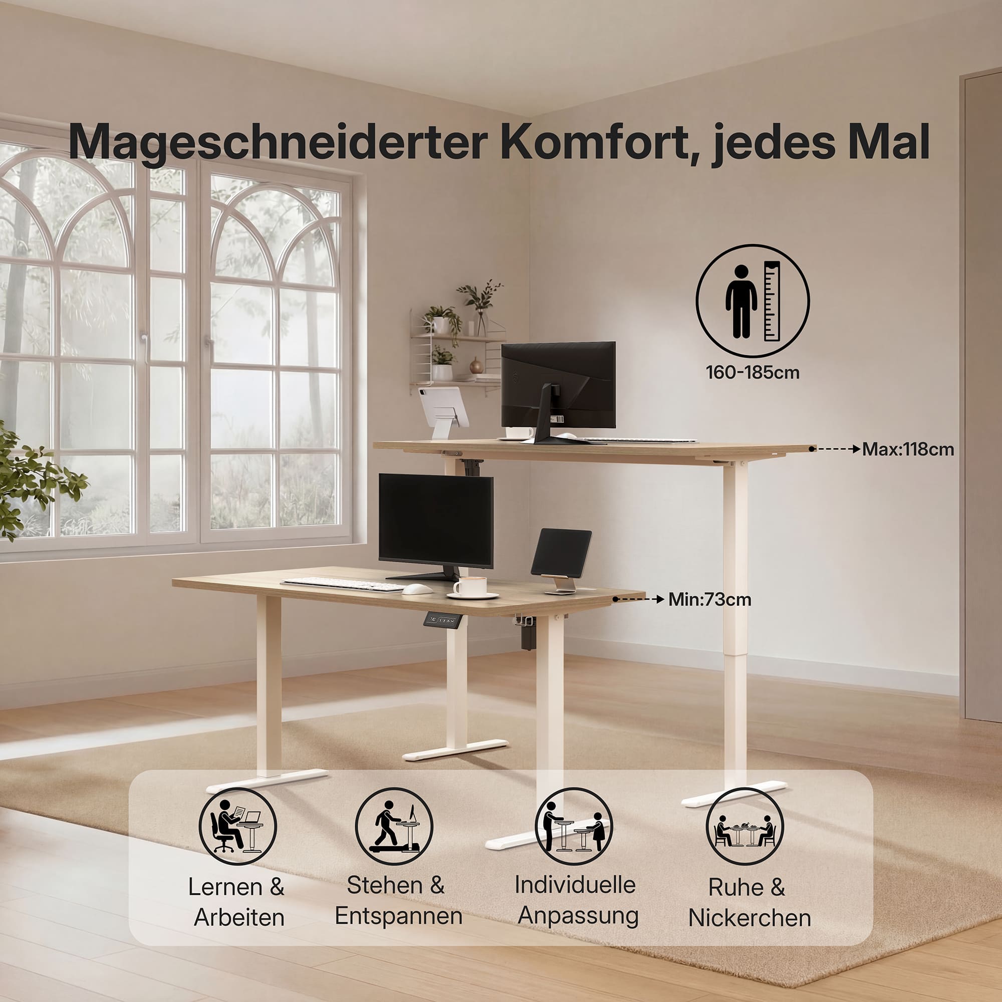 Economy Solid Elektrisch Höhenverstellbarer Schreibtisch