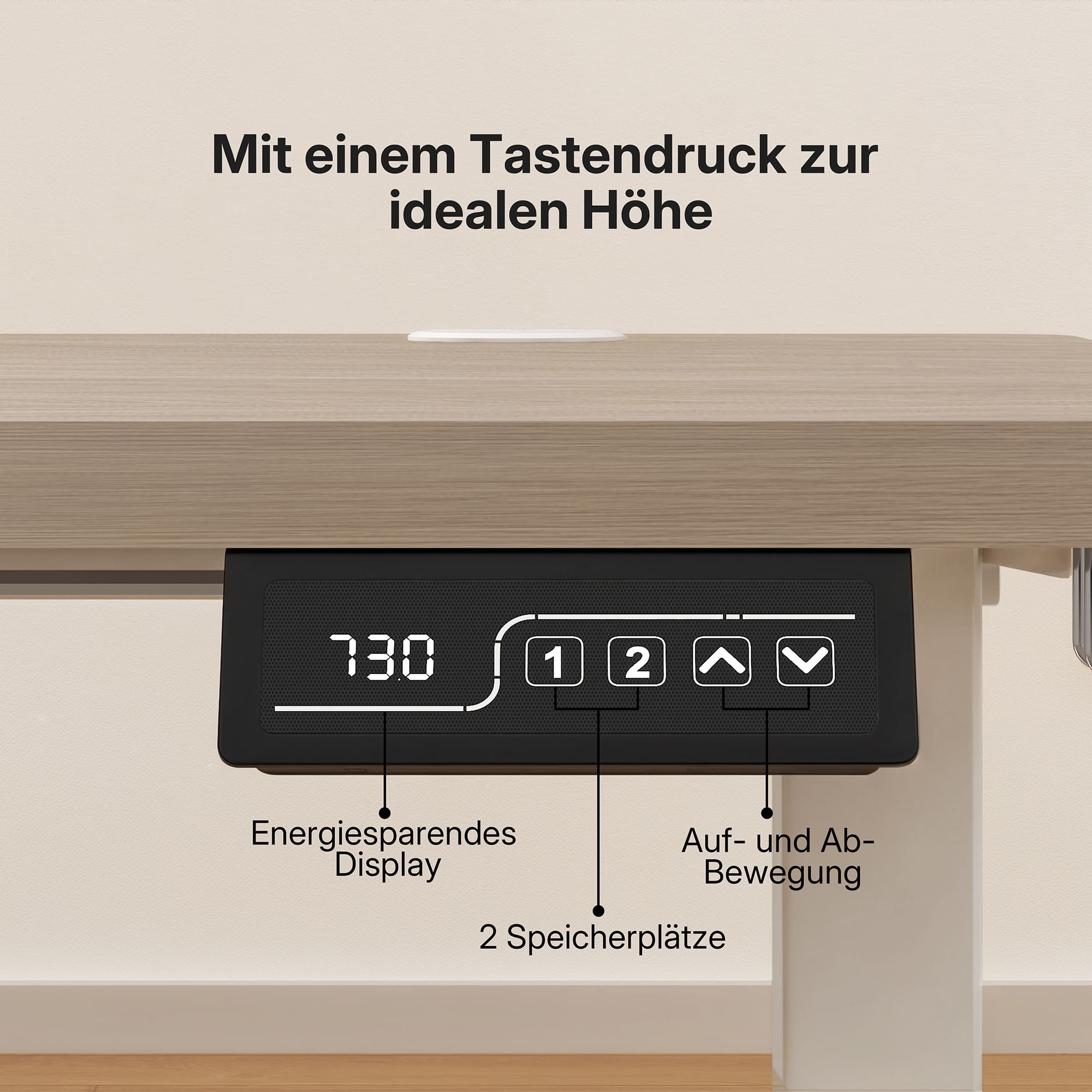 Economy Solid Elektrisch Höhenverstellbarer Schreibtisch
