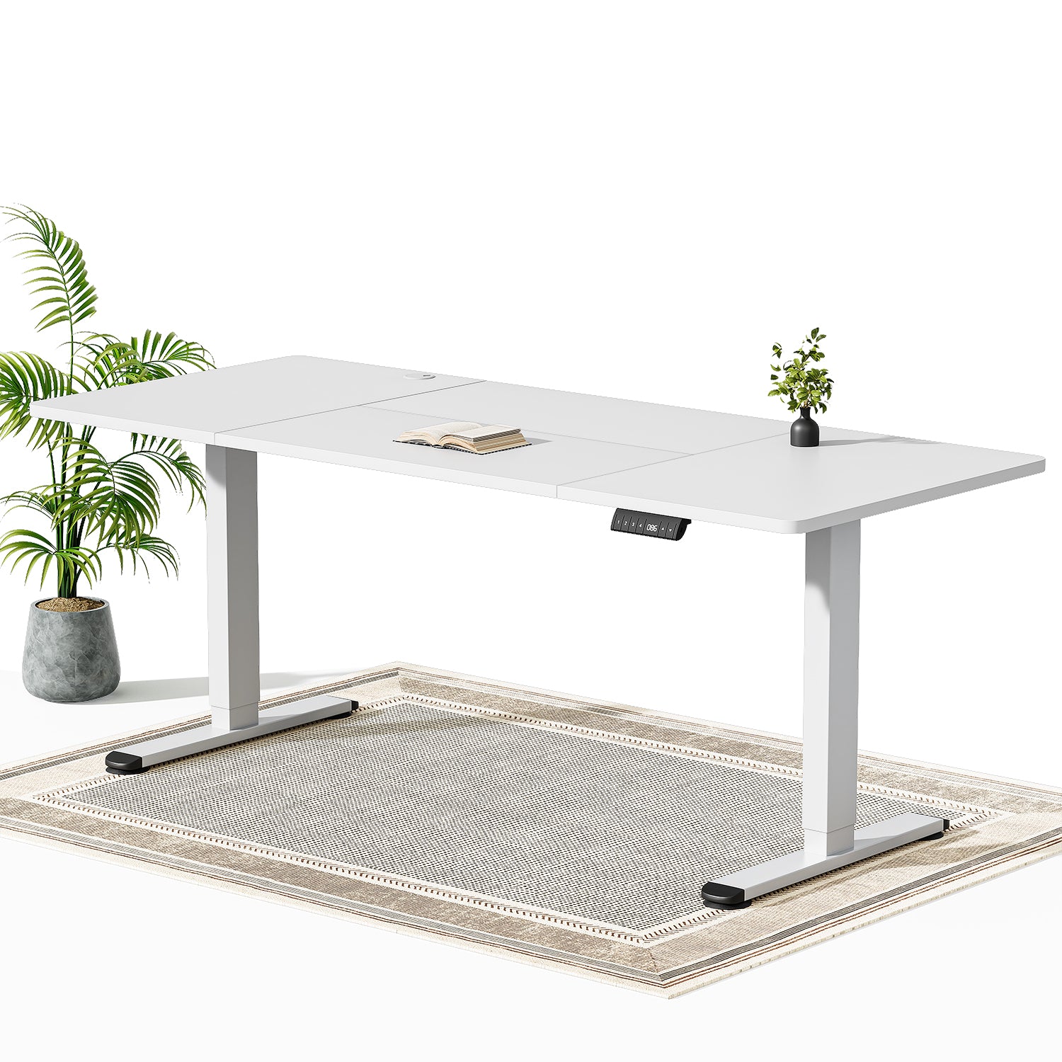 Economy Elektrisch Höhenverstellbarer Schreibtisch