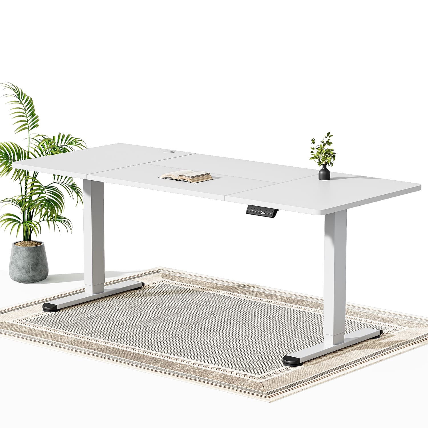 Economy Elektrisch Höhenverstellbarer Schreibtisch