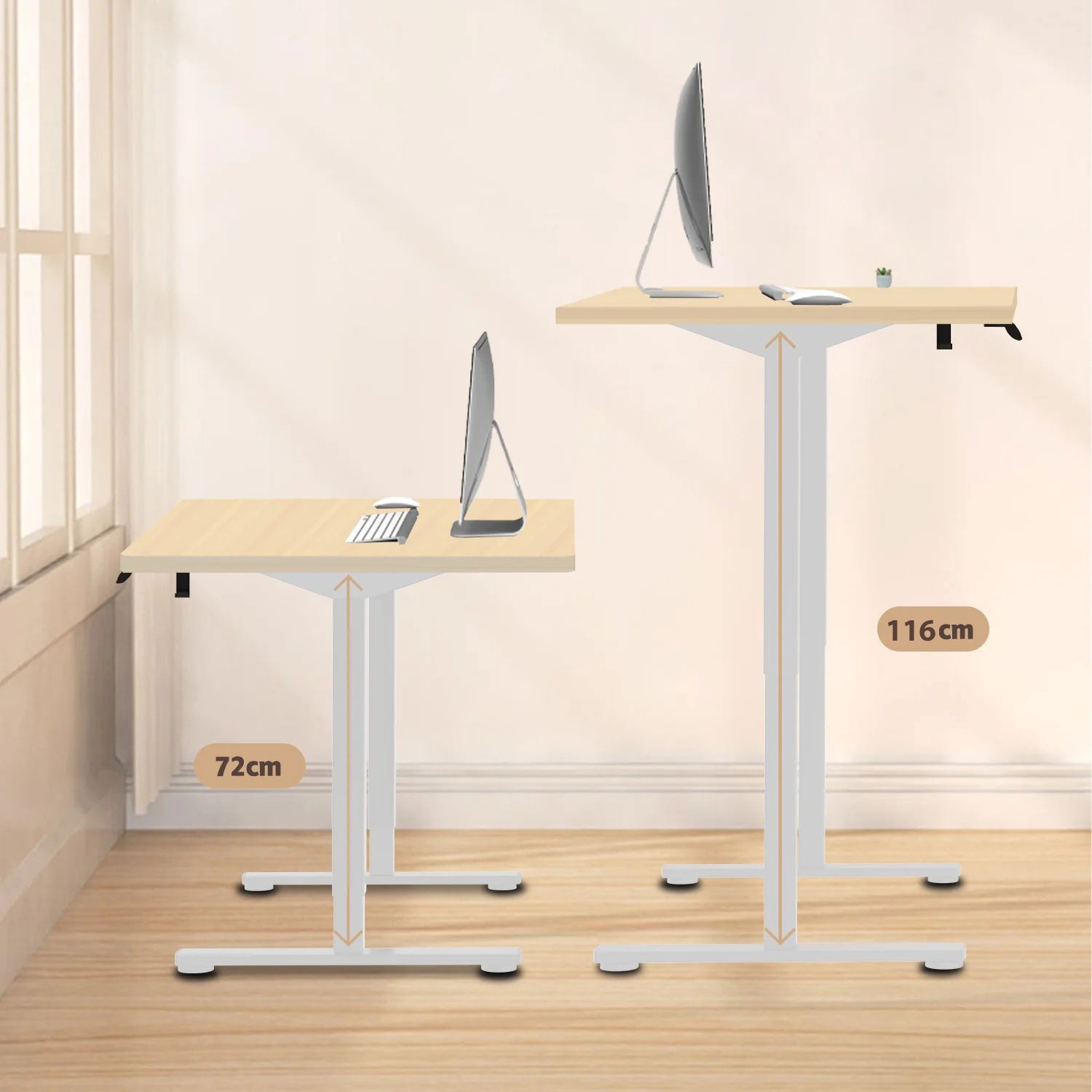 Economy Elektrisch Höhenverstellbarer Schreibtisch