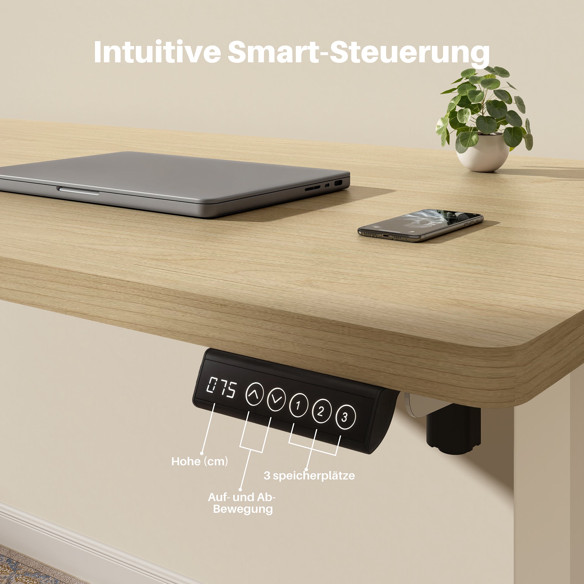 Basic Höhenverstellbarer Schreibtisch mit Entire Board Desktop