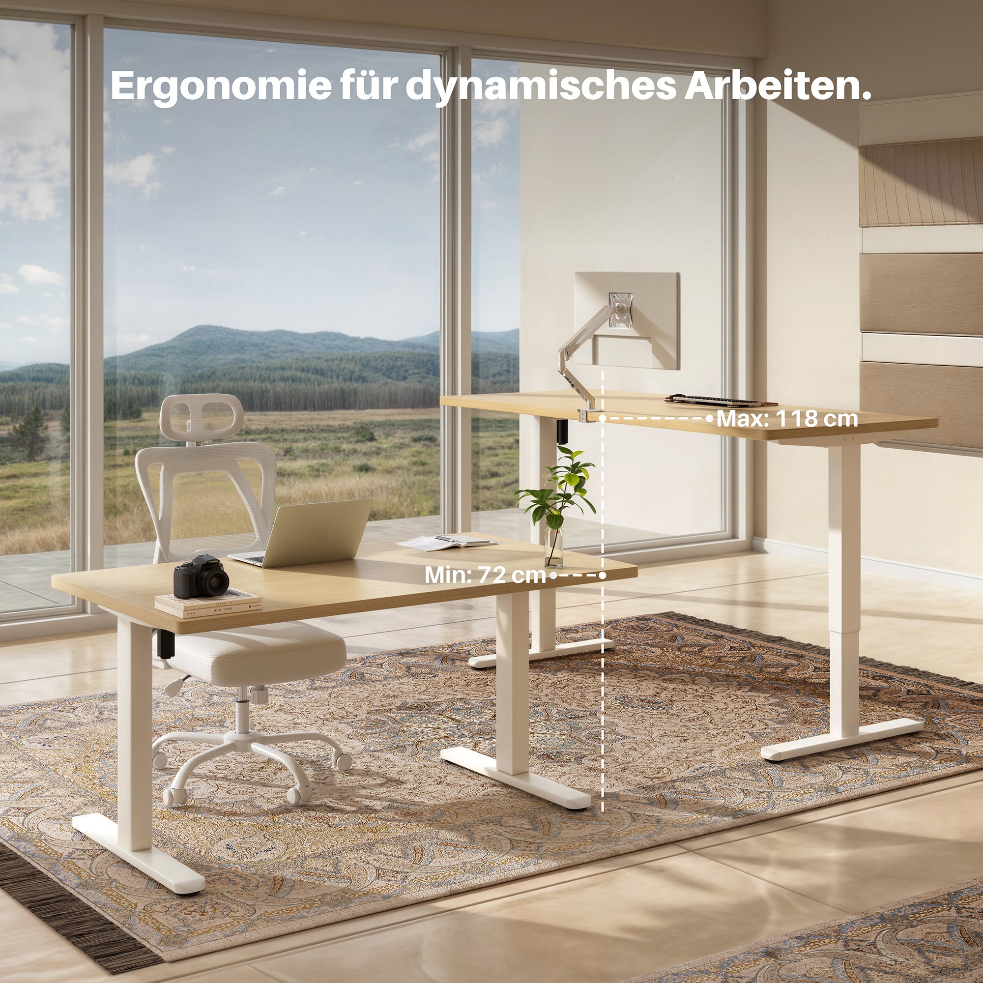 Basic Höhenverstellbarer Schreibtisch mit Entire Board Desktop