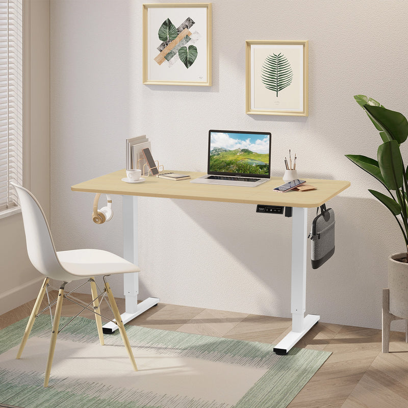 Economy Elektrisch Höhenverstellbarer Schreibtisch