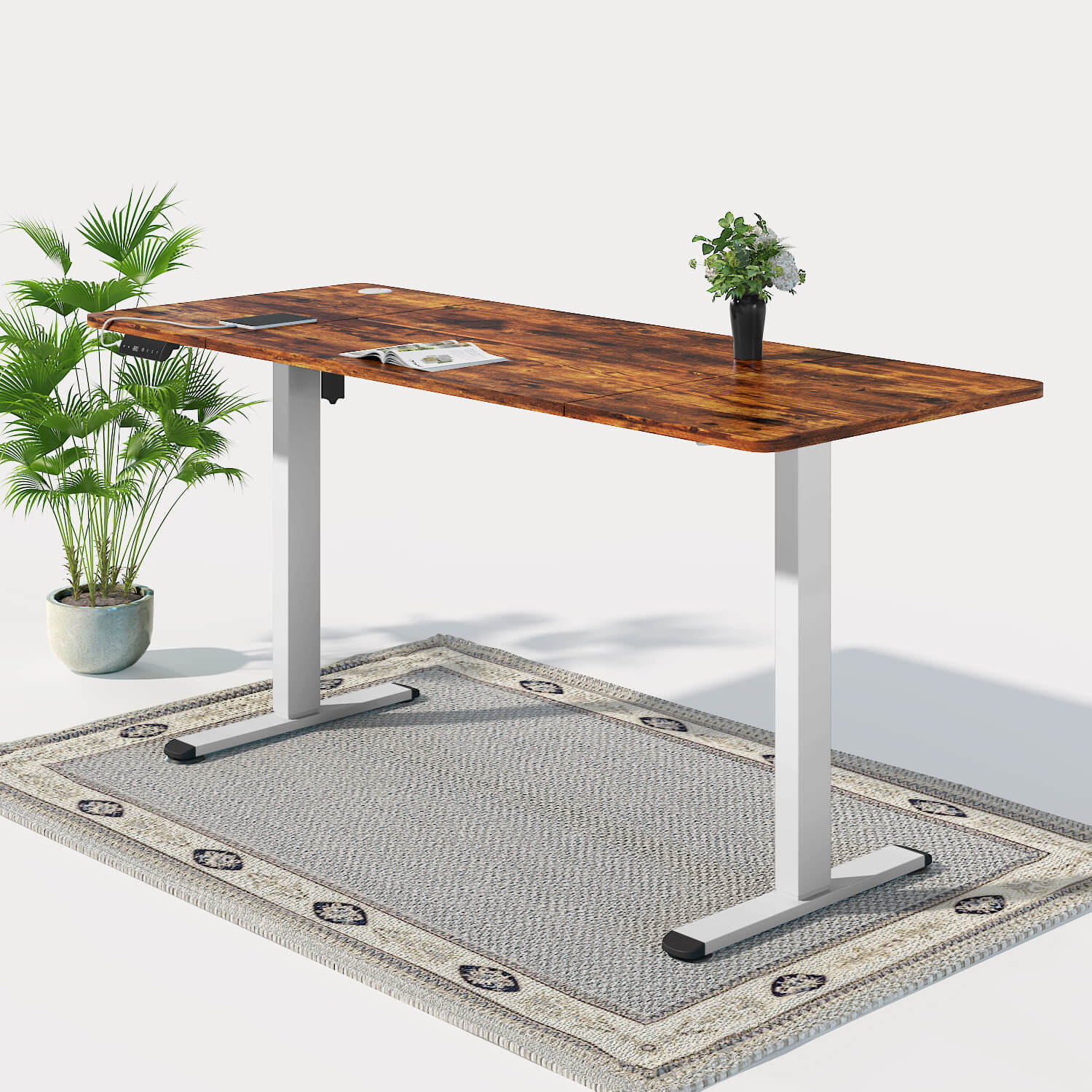 Economy Elektrisch Höhenverstellbarer Schreibtisch