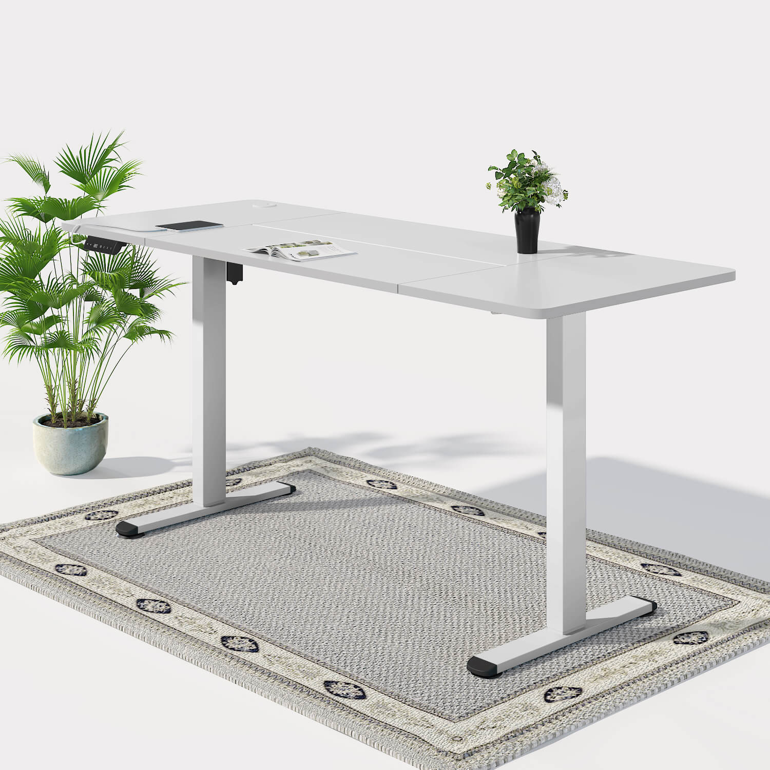 Economy Elektrisch Höhenverstellbarer Schreibtisch