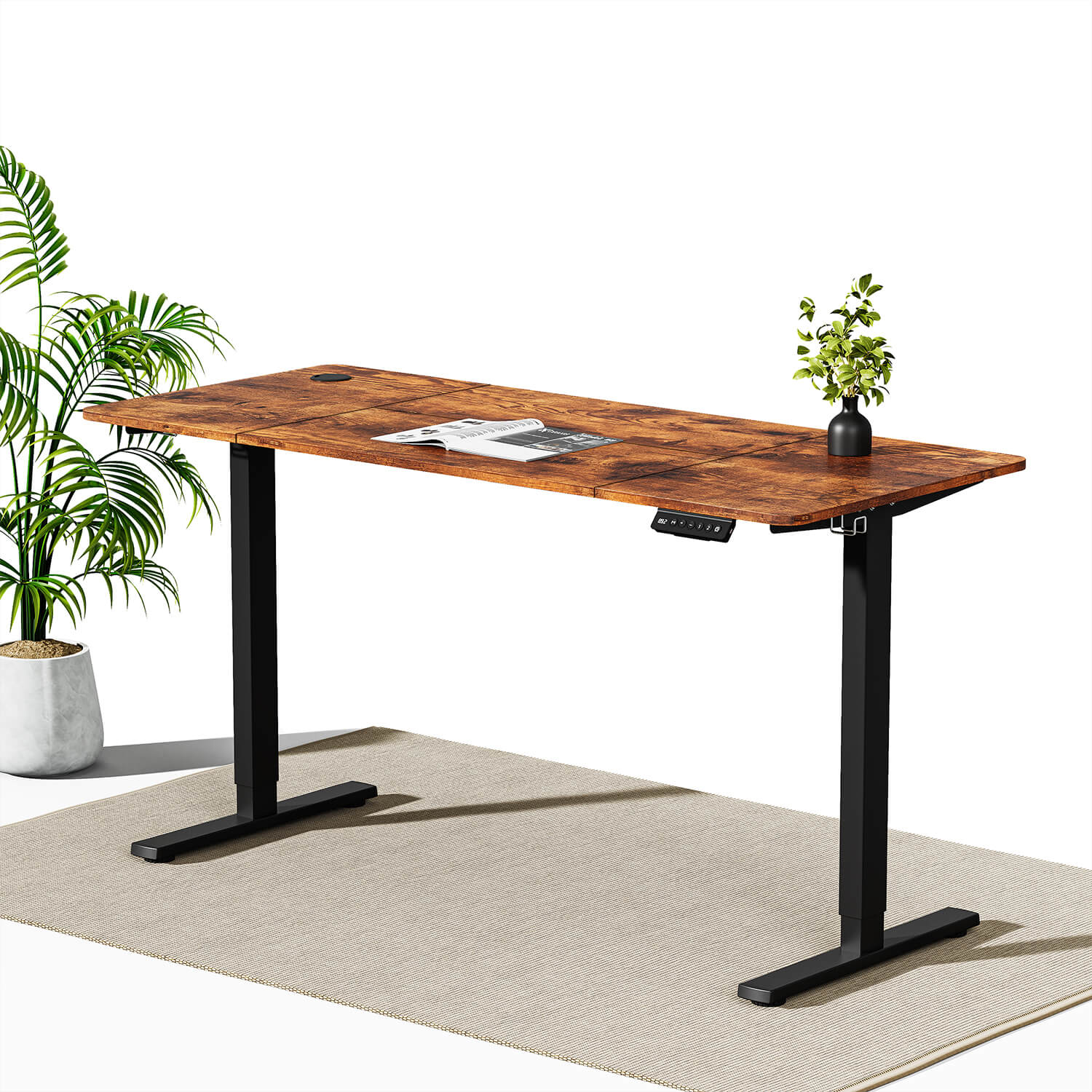 Economy Elektrisch Höhenverstellbarer Schreibtisch