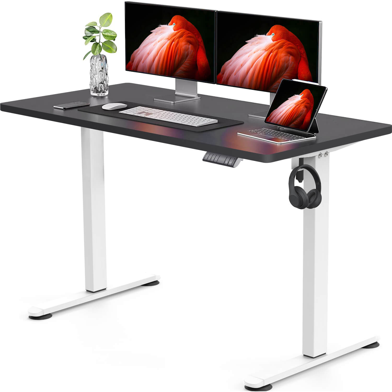 Elektrisch Höhenverstellbarer Schreibtisch 120X60 cm mit voller Arbeitsfläche