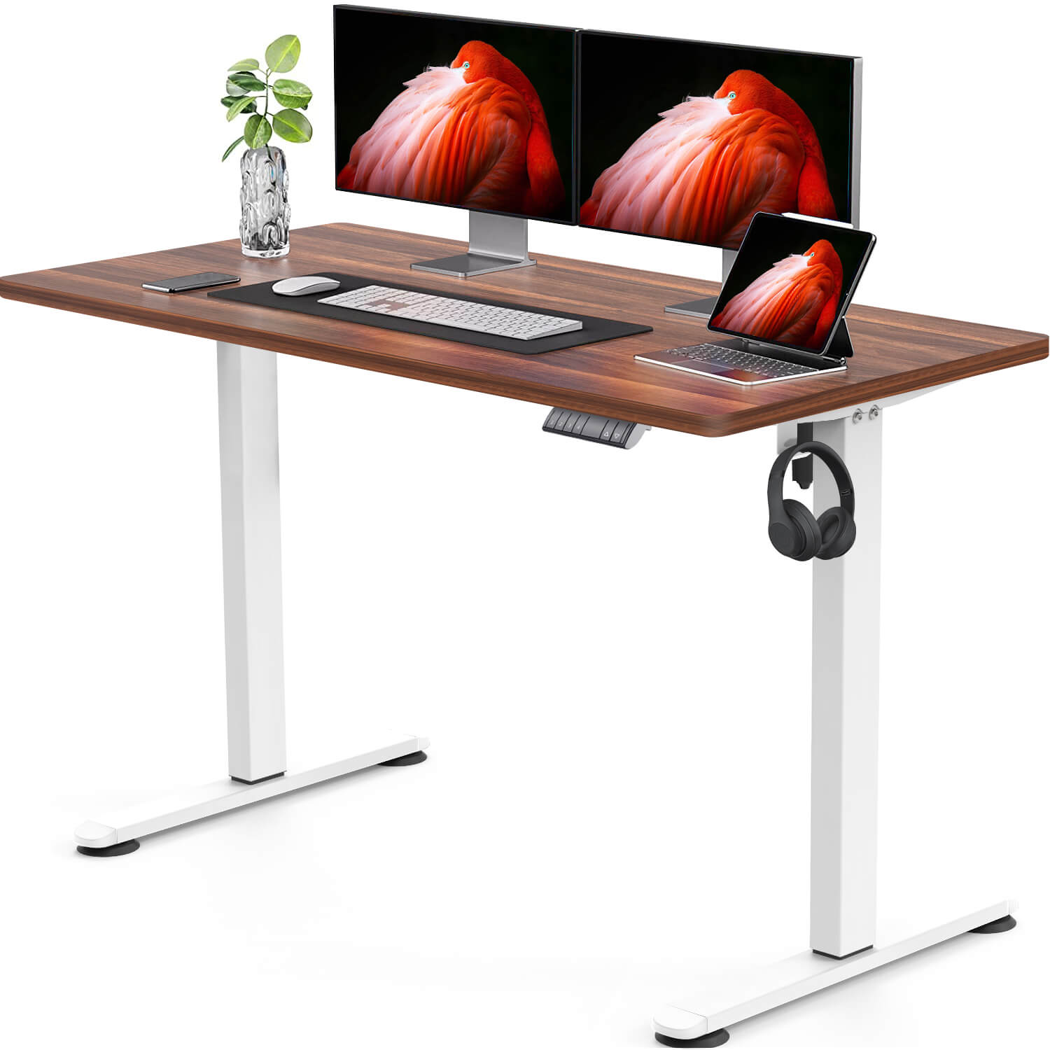 Elektrisch Höhenverstellbarer Schreibtisch 120X60 cm mit voller Arbeitsfläche