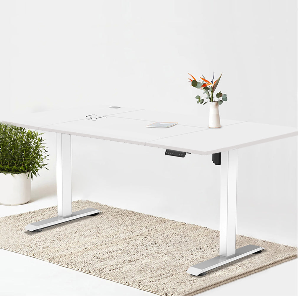 Economy Elektrisch Höhenverstellbarer Schreibtisch