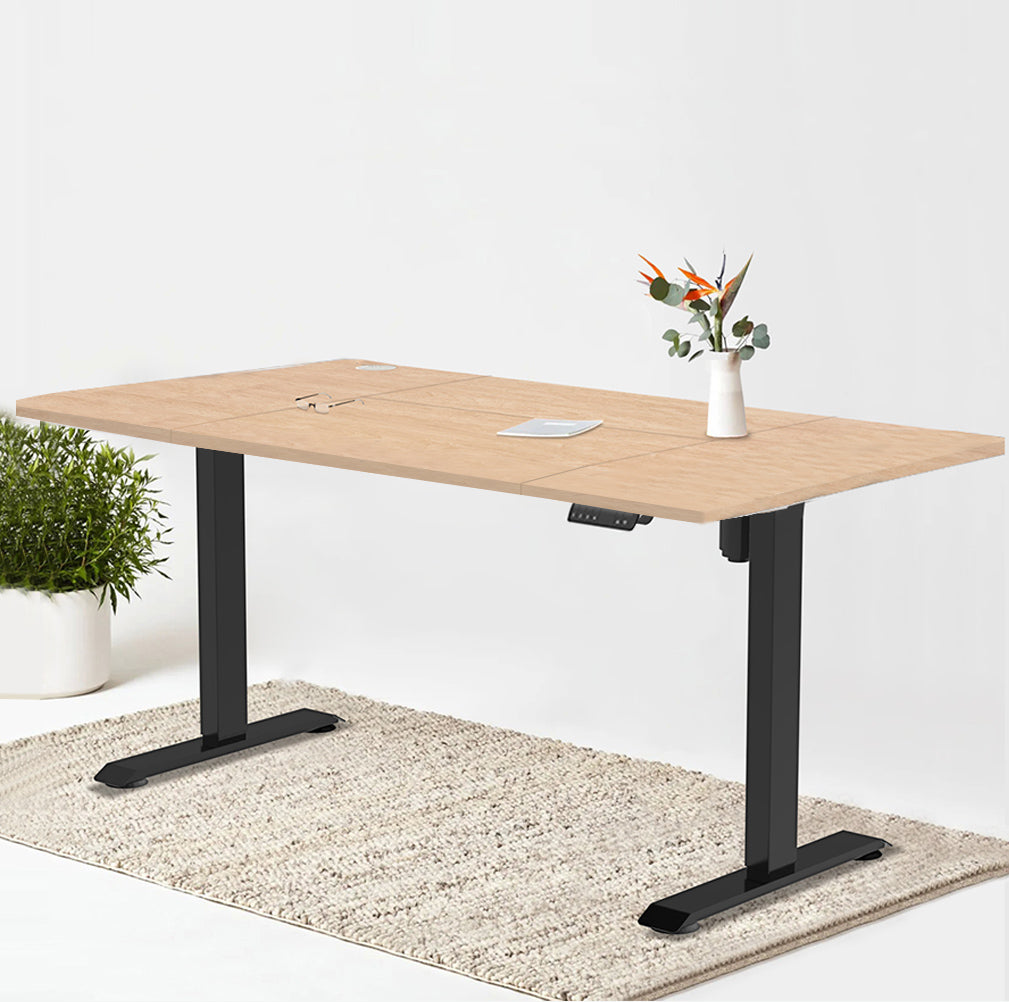 Economy Elektrisch Höhenverstellbarer Schreibtisch