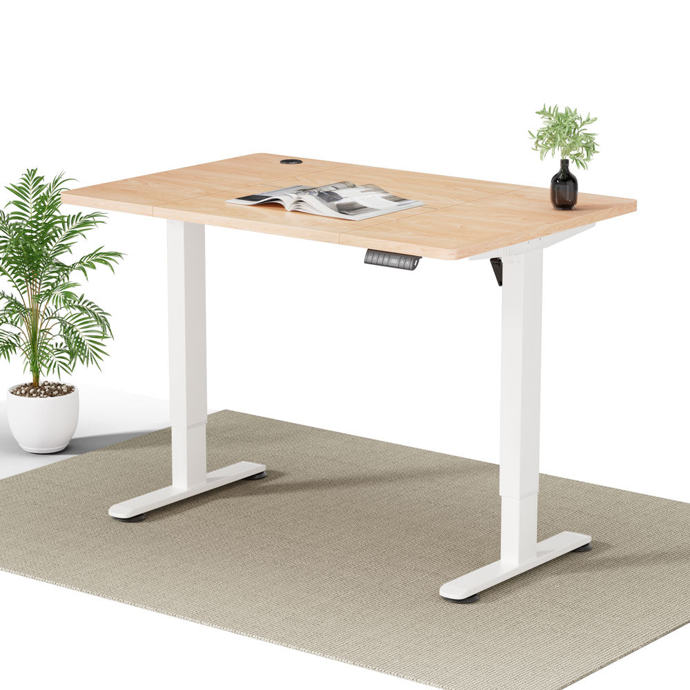 Pro Elektrisch Höhenverstellbarer Schreibtisch