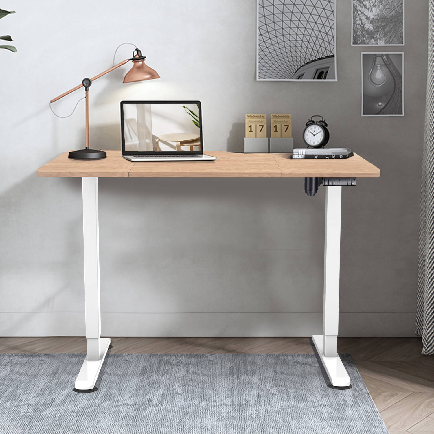 Elektrisch Höhenverstellbarer Schreibtisch 120X60 cm