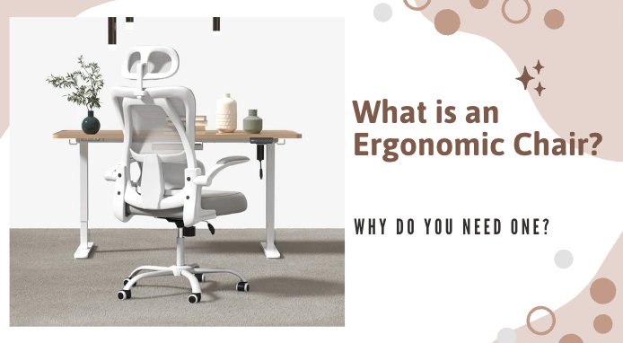 Was ist ein ergonomischer Stuhl und warum brauchen Sie einen?