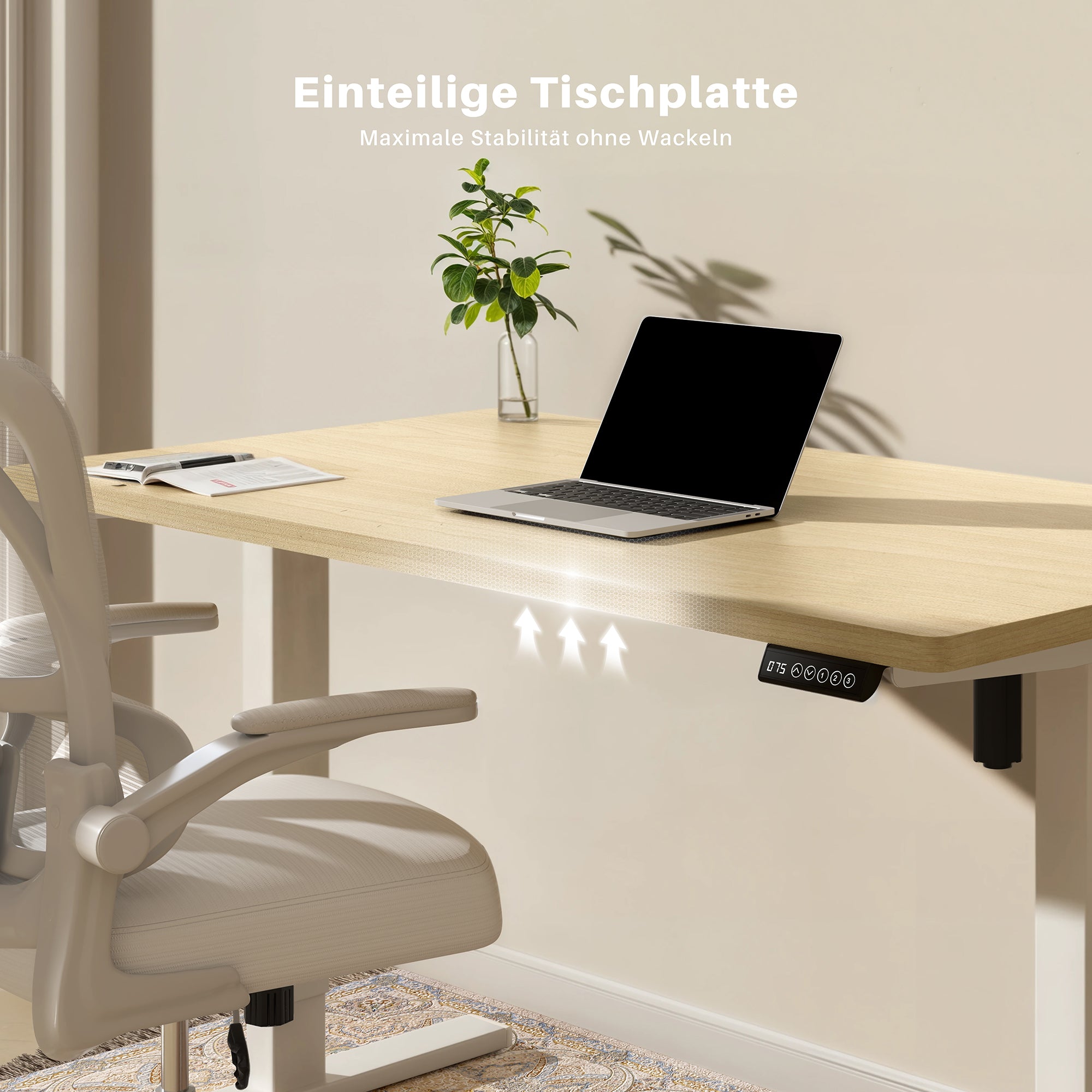 Basic Höhenverstellbarer Schreibtisch mit Entire Board Desktop