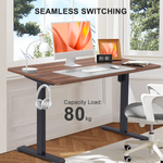 Elektrisch Höhenverstellbarer Schreibtisch 120X60 cm  mit voller Arbeitsfläche